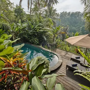 https://mandana-ubud-villa.ubudhotelsnow.com