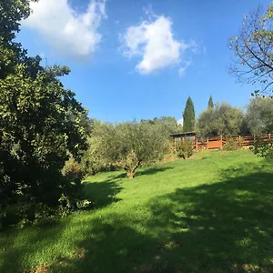 Madonnella Agricola Cesano