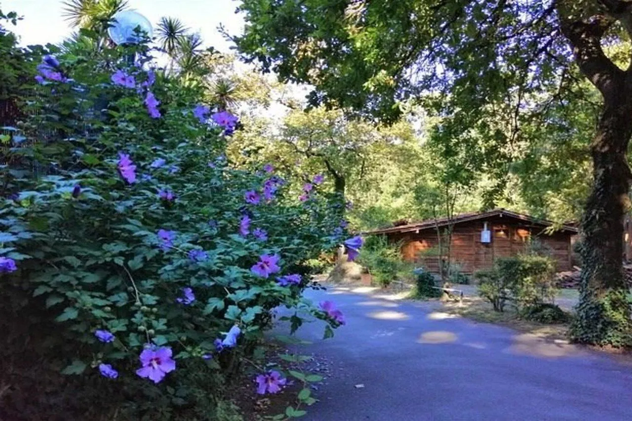 Seven Hills Village Rome Camping